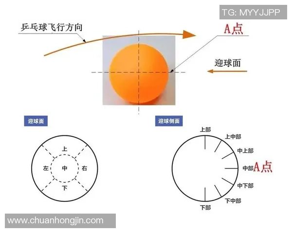 杭州乒乓球队快攻打法深度解析与战术应用探讨